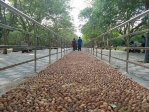 Biju pattanaik park, bbsr2