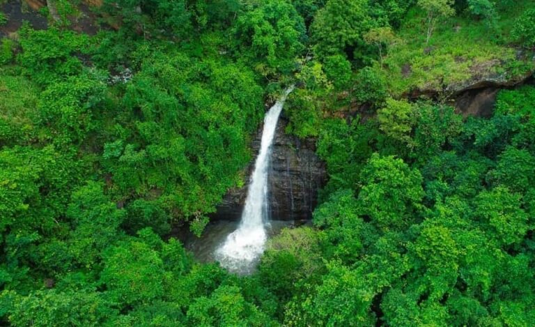 Deojhar Waterfall: How to Reach, Best Time, Tips Before You Visit, Map