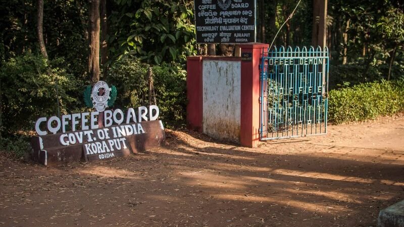 Coffee Board in Koraput
