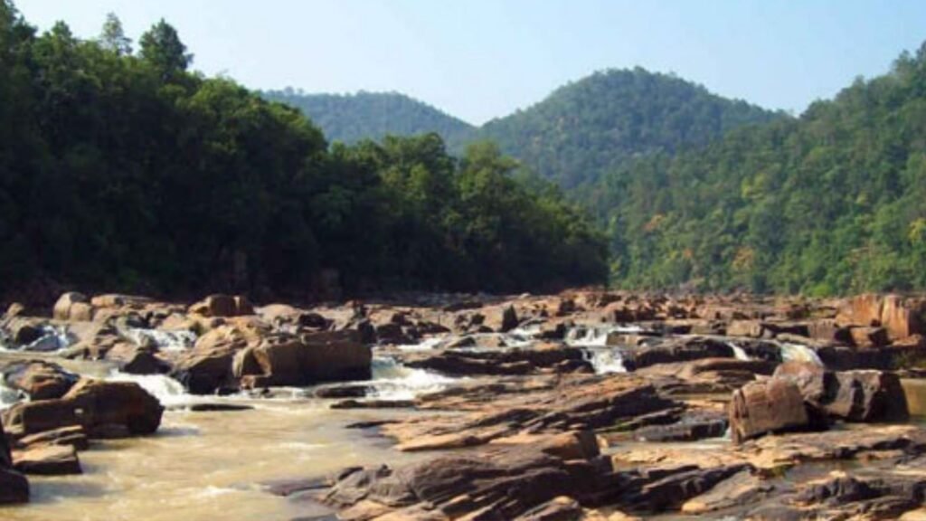 doluri stream