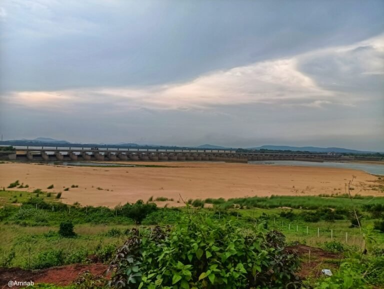 Naraj, Cuttack – The Hidden Ecosystem in the City