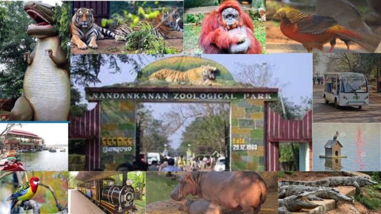 Nandankanan Zoological Park, Bhubaneswar- Entry Fee, Location & Other Details
