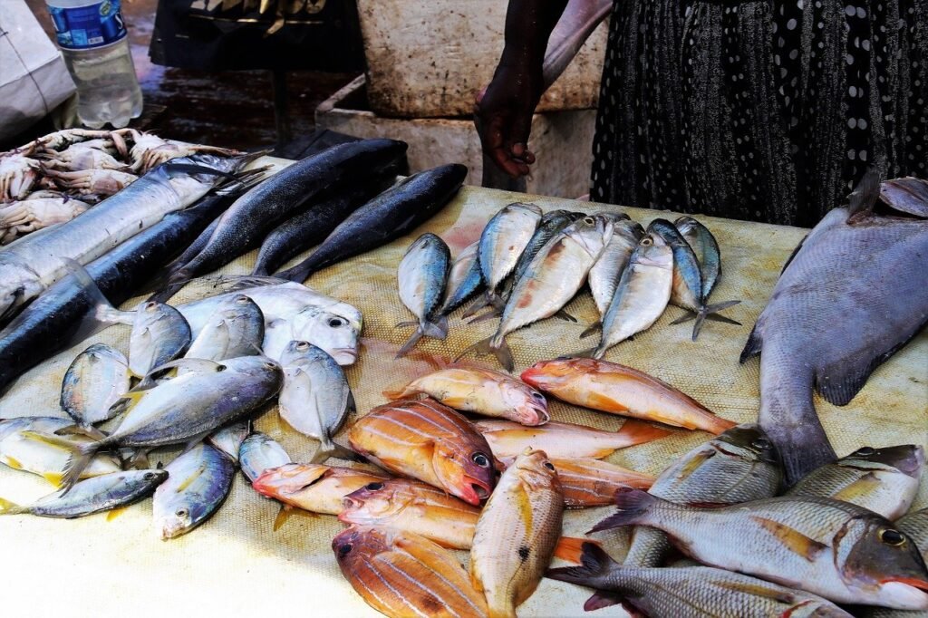 fish market kiit square