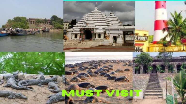 5 Best Places You Must Visit In Kendrapada