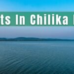 Sights In Chilika Lake