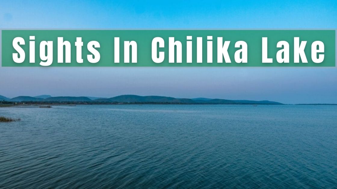 Sights In Chilika Lake