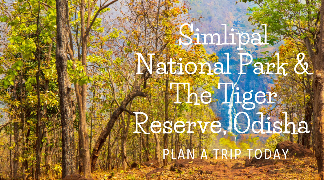 Simlipal National Park & The Tiger Reserve, Odisha- Plan a Trip Today |  eBhubaneswar