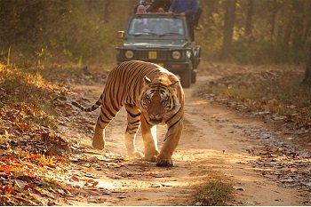 Simlipal National Park
