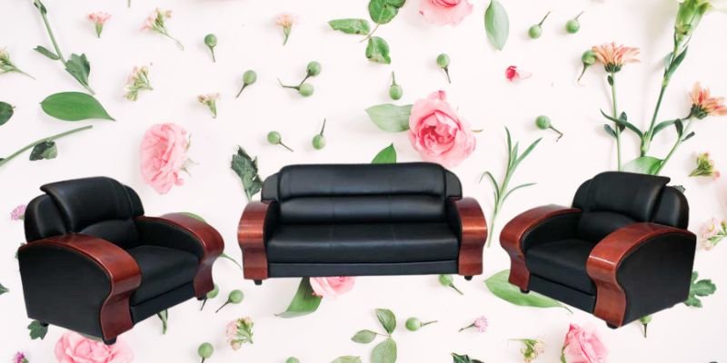 Fancy Furniture