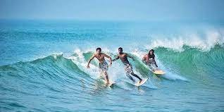 Surf festival