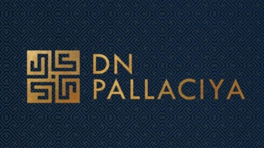 Dn Pallaciya