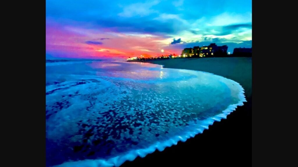 . Puri Beach