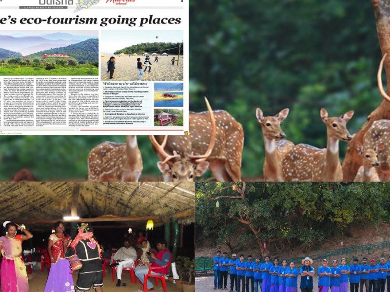 related picture about satakosia nature camp