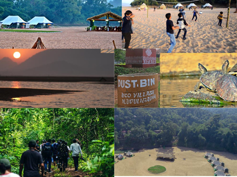 compilation picture of satkosia nature camp