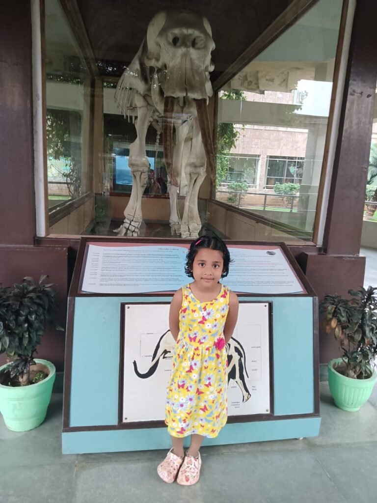 Visitors of RMNH