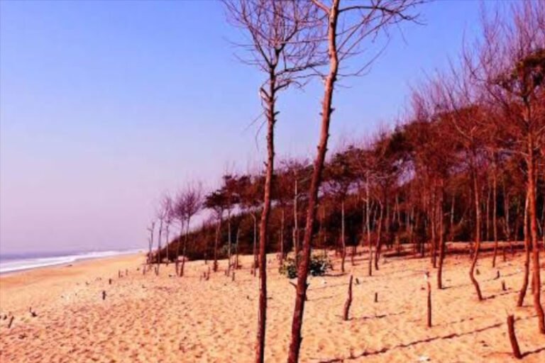 Top 5 most famous beaches in puri | How To reach | Nearby places