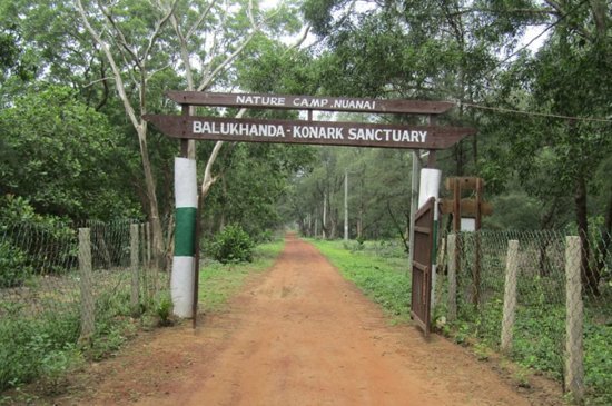 Entry at Nuanai Nature Camp