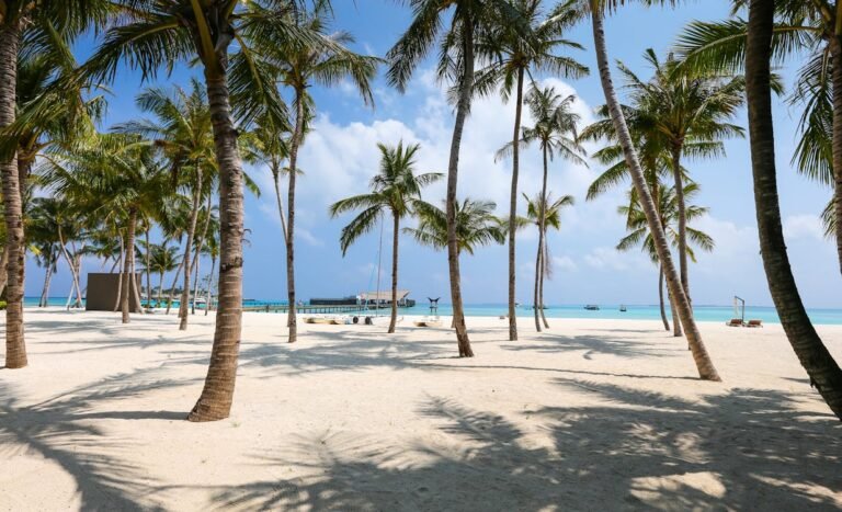 Explore the Best Summer Destinations Near Bhubaneswar