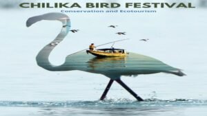 chilika bird festival