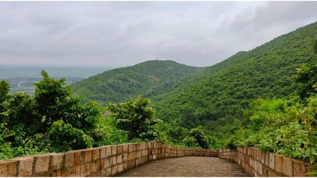 Barunei Hills view from top