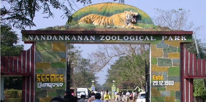 Nandankanan- Best premier zoos in india.