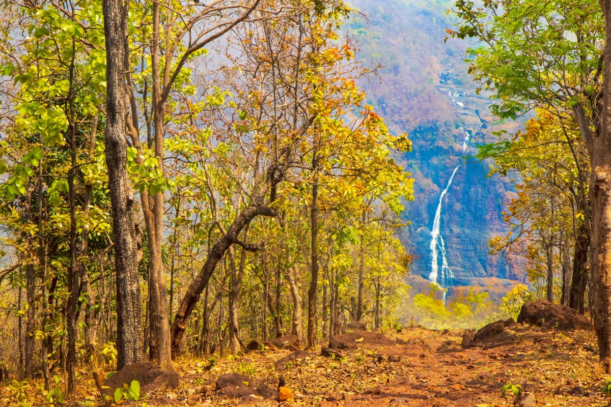 Similipal- Best picnic spot in mayurvanj. Tiger reserved in Odisha