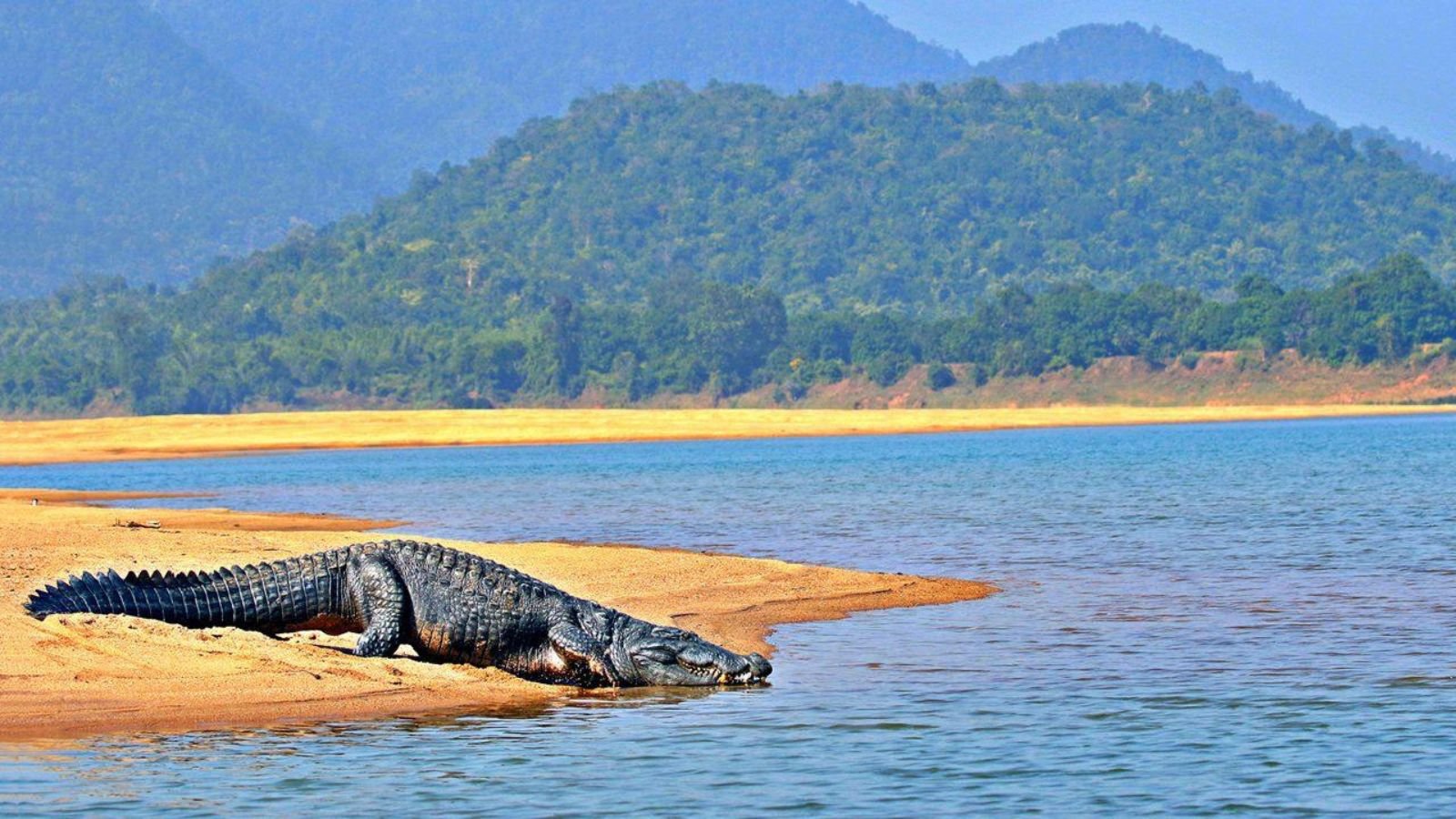 Satkosia Gorge (160 km) – Nature, forest stay, eco-tourism