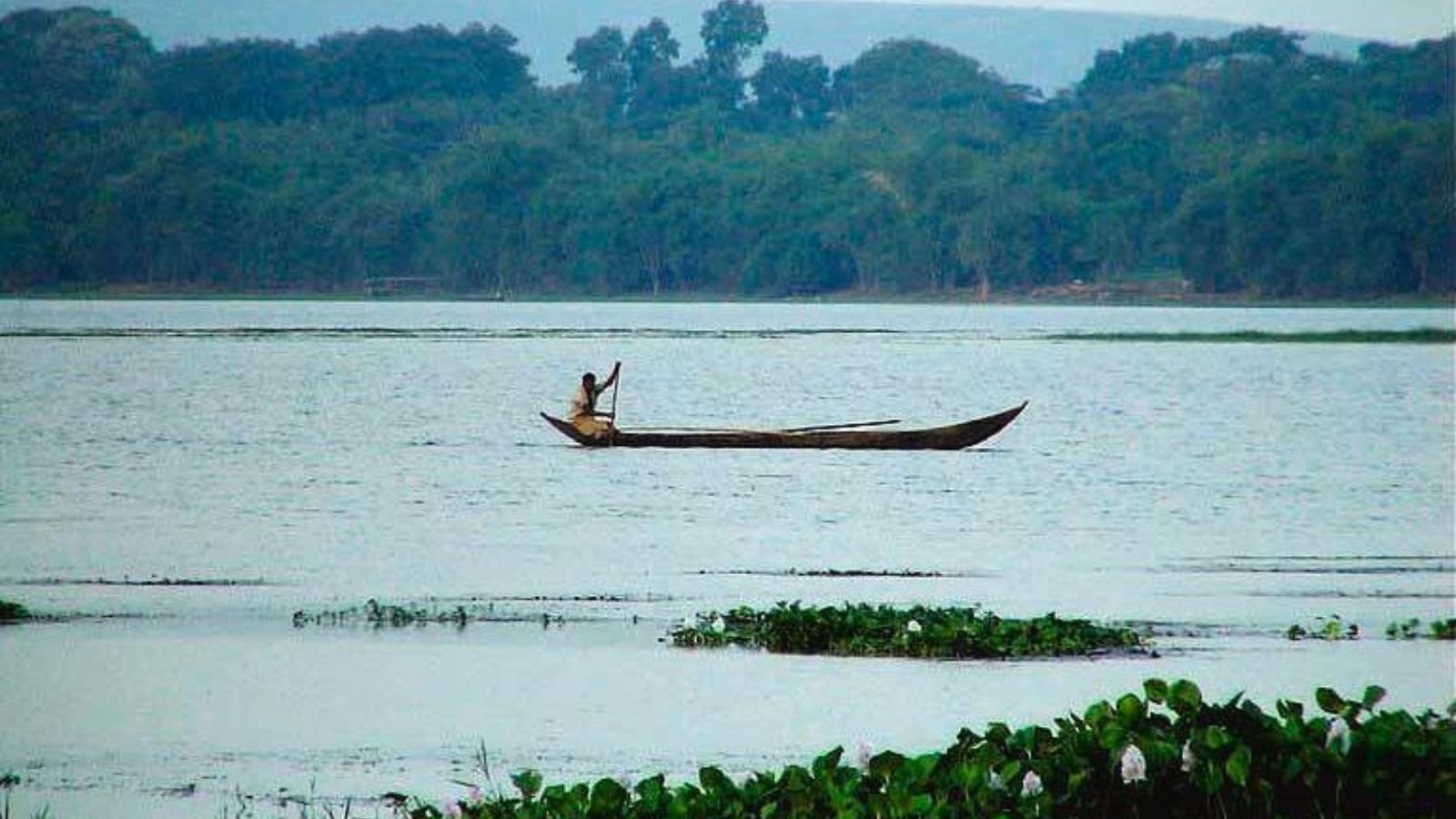 Ansupa Lake (Approx. 50 km from Bhubaneswar)