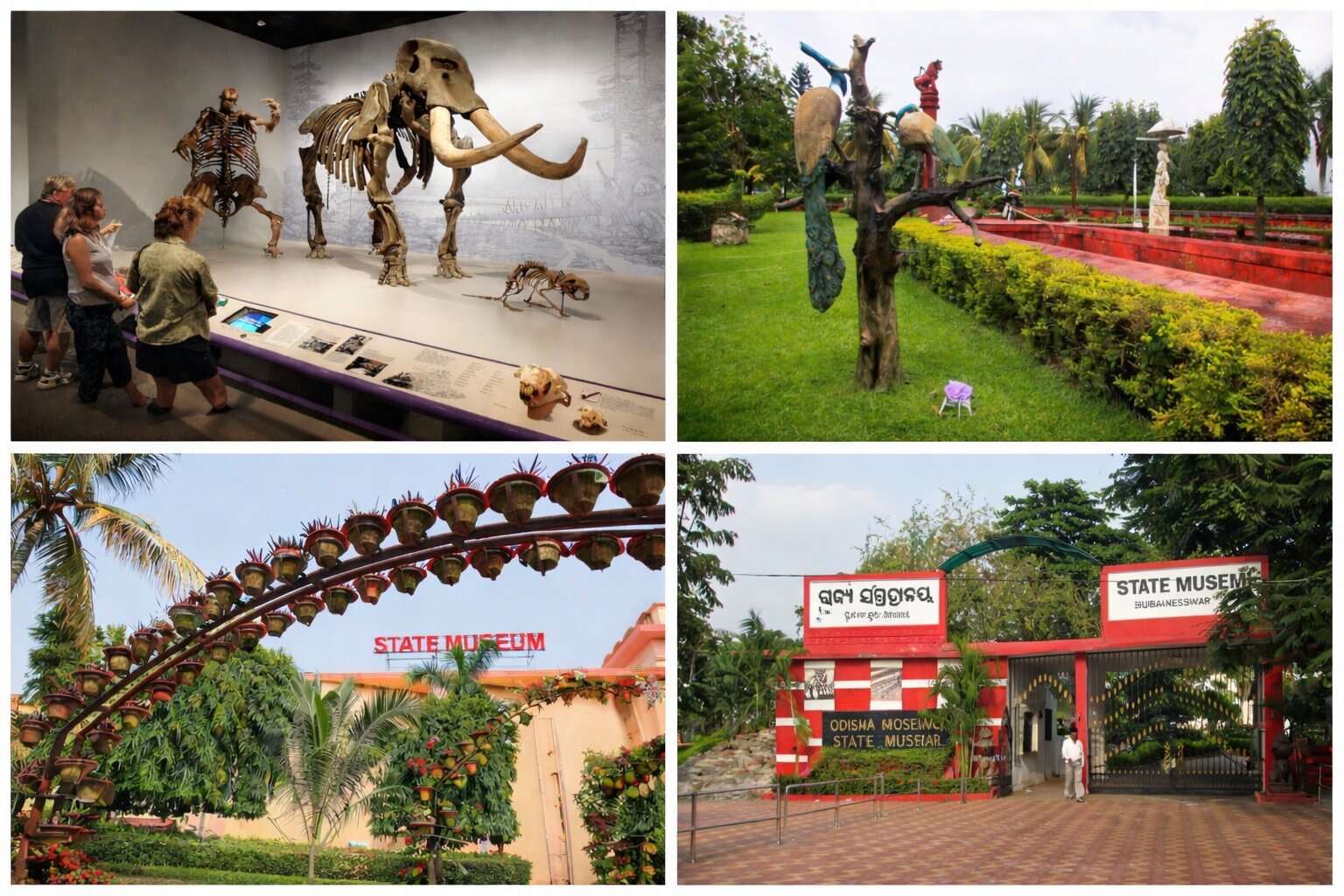 Odisha State Museum Bhubaneswar