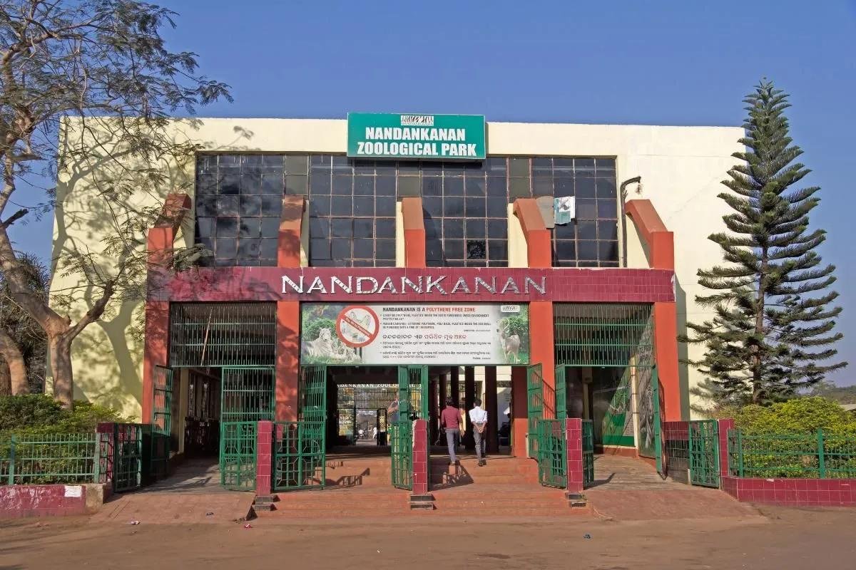 nandankanan img
