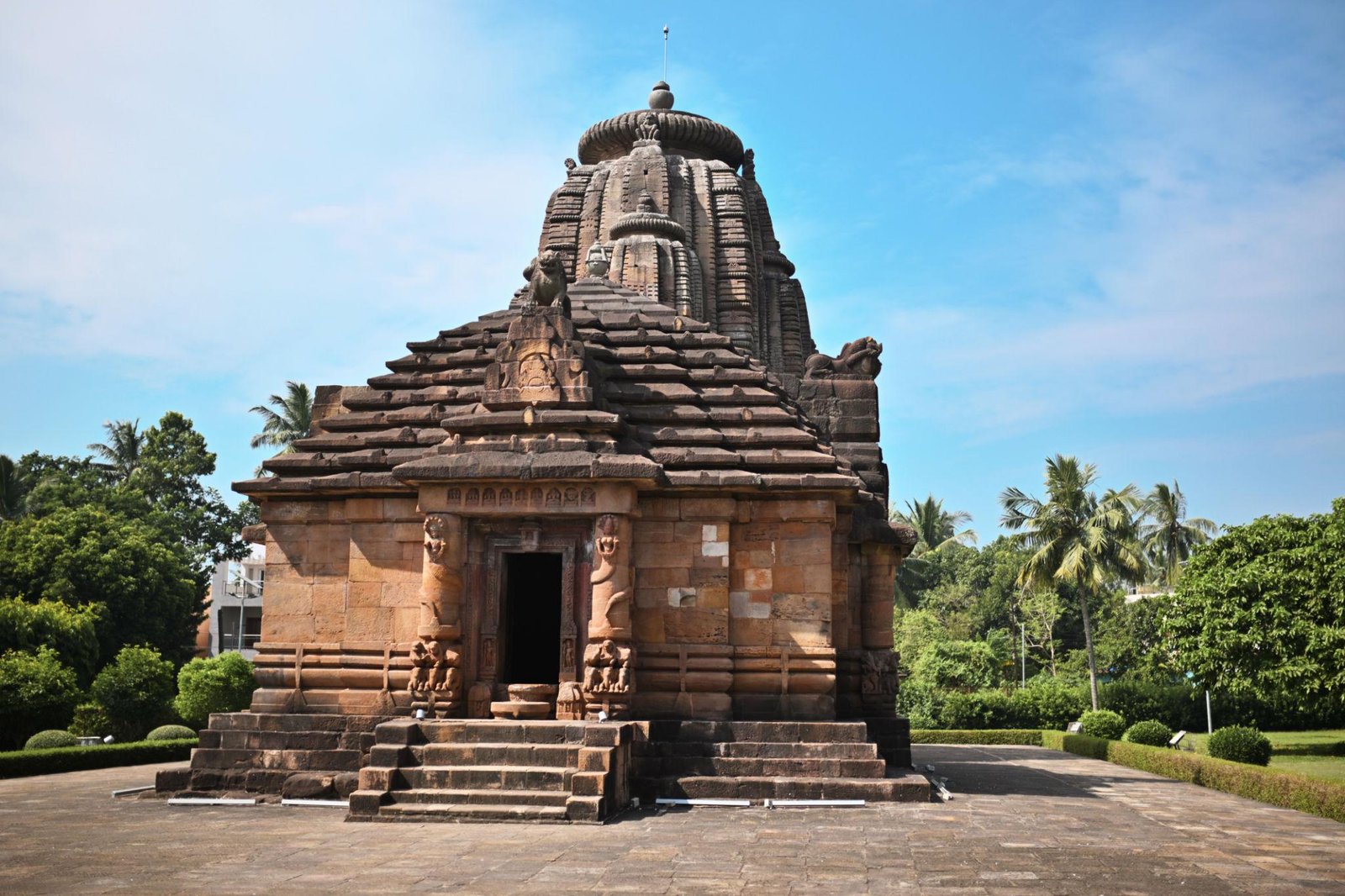 rajarani img
